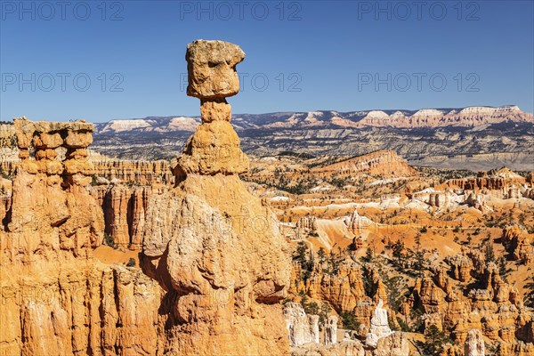 Thor's Hammer, Bryce Canyon National Park, Utah, USA, Bryce Canyon, Utah, USA, North America