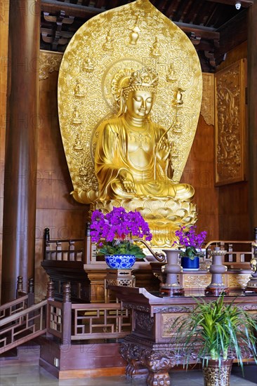 Chongqing, Chongqing Province, China, Asia, Detailed golden Buddha statue in meditative pose in a temple room, Asia