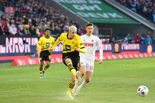 1st Bundesliga, 1.FC Koeln, BVB Borussia Dortmund on 20.01.2024 at the RheinEnergieStadion in Cologne Germany .Photo: Alexander Franz (DFL/DFB REGULATIONS PROHIBIT ANY USE OF PHOTOGRAPHS AS IMAGE SEQUENCES AND/OR QUASI-VIDEO)