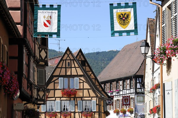 Eguisheim, Alsace, France, Europe, Street scene in Alsace with half-timbered houses and decoration, Europe
