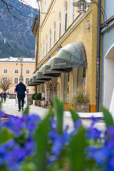 Urban street scene with shop fronts and floral decorations in the foreground, Bad Reichenhall, Bavaria, Germany, Europe