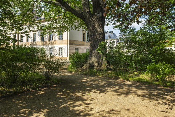 Pillnitz Castle on the Elbe in Pillnitz, Dresden, Saxony, Germany, for editorial use only, Europe