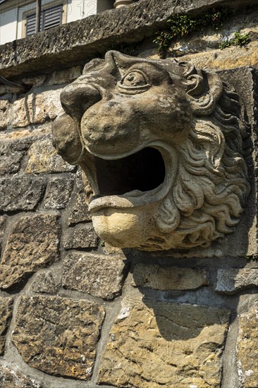 Lion's head, architectural details of Pillnitz Castle on the edge of the Elbe cycle path in Pillnitz, Dresden, Saxony, Germany, Europe