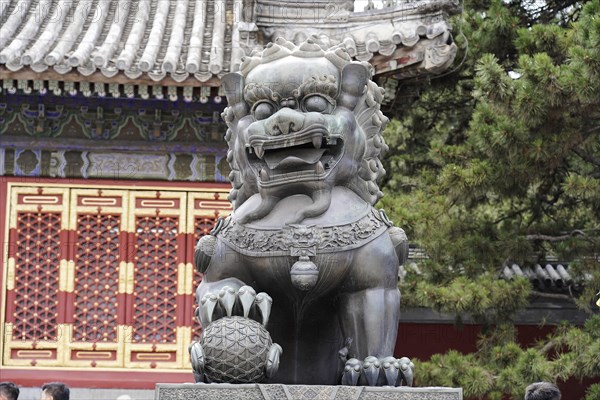 New Summer Palace, Beijing, China, Asia, Sculpture of a stone lion in front of the entrance of a temple with detailed Chinese architecture, Beijing, Asia