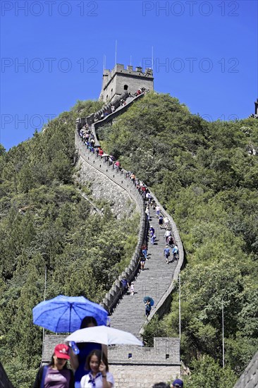 Great Wall of China, near Mutianyu, Beijing, China, Asia, Travellers explore the Great Wall and use parasols to protect themselves from the sun, UNESCO World Heritage Site, Asia