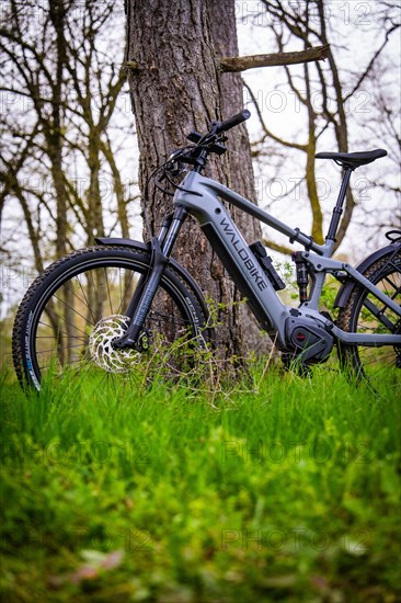 An electric bicycle stands in front of a thick tree in the forest, underlined by nature, spring, E- Bike Waldbike, Gechingen, Black Forest, Germany, Europe