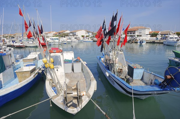 Fishing boats in the harbour, Les Saintes-Maries-de-la-Mer, Camargue, Bouches-du-Rhone, Provence-Alpes-Cote d'Azur, South of France, France, Europe