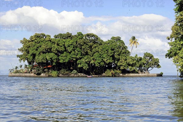 Granada, Nicaragua, Densely overgrown island on the Nicaragua Sea with a small boat passing by, Central America, Central America