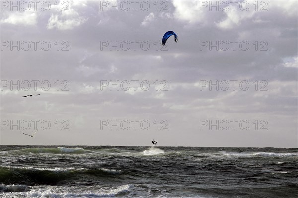 World Surfing Championships, Westerland, North Frisia, Sylt, Schleswig Holstein, A kitesurfer glides over undulating seas under an overcast sky, accompanied by birds, Sylt, North Frisian Island, Schleswig Holstein, Germany, Europe