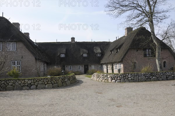 Sylt, North Frisian Island, Schleswig Holstein, Complex of thatched roof houses with stone walls and tree surrounds in spring, Sylt, North Frisian Island, Schleswig Holstein, Germany, Europe