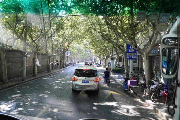 Traffic in Shanghai, Shanghai Shi, People's Republic of China, Vehicles driving on a tree-lined, shady city street, Shanghai, China, Asia