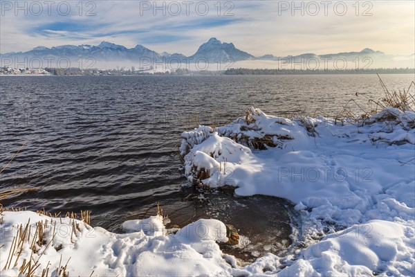 Lake Hopfensee in winter, East Allgaeu, Swabia, Germany, East Allgaeu, Lake Hopfensee, Bavaria, Germany, Europe