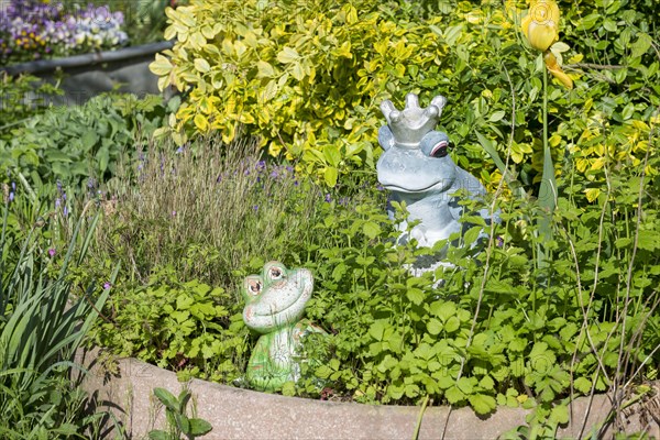 Garden decoration, frogs, frog king, Baden-Wuerttemberg, Germany, Europe