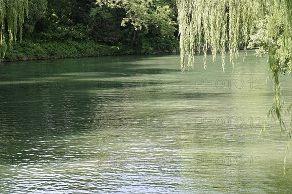 View of a calm water surface of a lake surrounded by green trees, New Summer Palace, Beijing, Beijing, China, Asia