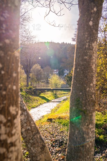 View through trees along a river with sunbeams breaking through, spring, Calw, Black Forest, Germany, Europe