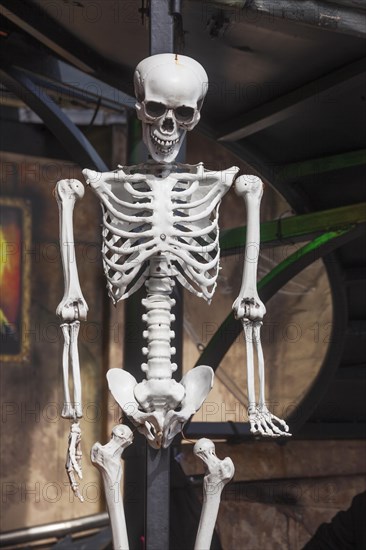 Skeleton with skull on a ghost train, decoration, figure at the Bremen Easter Fair, Buergerweide, Bremen, Germany, Europe