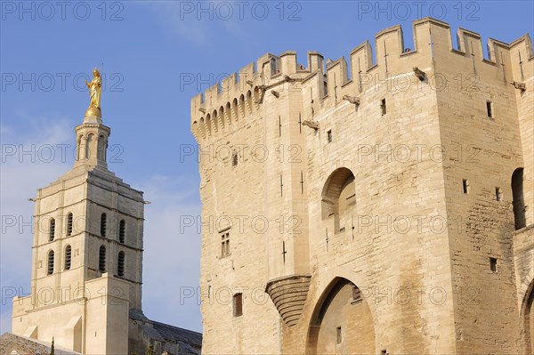 Papal Palace and Notre-Dame des Doms Cathedral, Avignon, Vaucluse, Provence-Alpes-Cote d'Azur, South of France, France, Europe