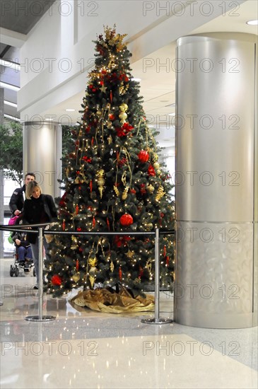 AUGUSTO C. SANDINO Airport, Managua, Nicaragua, A large, decorated Christmas tree in the airport interior, Central America, Central America