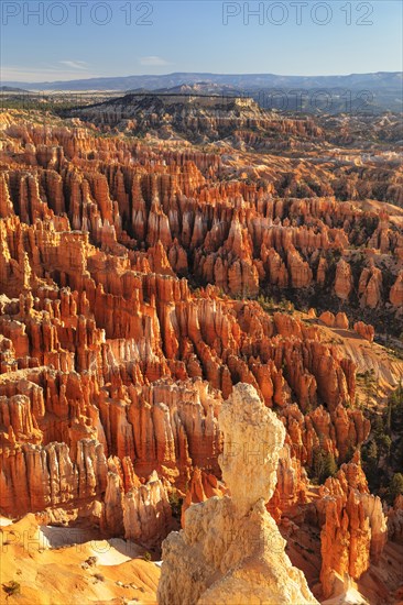 Bryce Amphitheatre at sunset, Bryce Canyon National Park, Colorado Plateau, Utah, United States, USA, Bryce Canyon, Utah, USA, North America