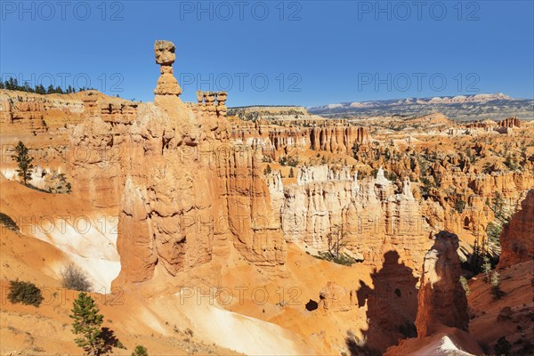 Thor's Hammer, Bryce Canyon National Park, Utah, USA, Bryce Canyon, Utah, USA, North America