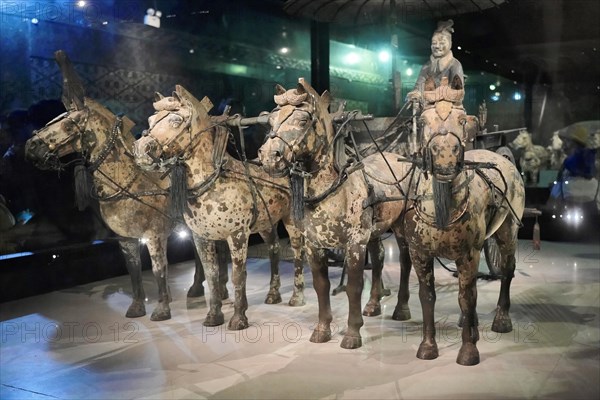 Terracotta horse and cart, Qin Shihuangdi's mausoleum, exhibition hall, high chariot, Xian, Shaanxi, China, Asia, Terracotta horse and cart with driver, on display in a museum, Xian, Shaanxi Province, China, Asia