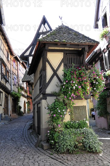 Eguisheim, Alsace, France, Europe, A historic half-timbered house on a street corner with lush flowers, Europe