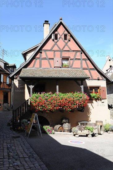 Eguisheim, Alsace, France, Europe, A traditional half-timbered house with blooming flowers under a blue sky, Europe