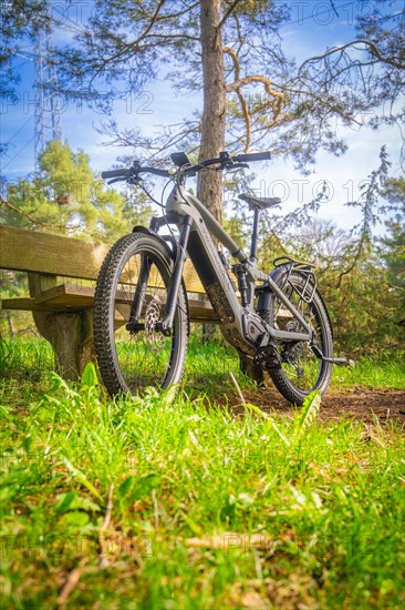 A mountain bike standing in the forest on grass with sunbeams in the background, spring, e-bike forest bike, Gechingen, Black Forest, Germany, Europe