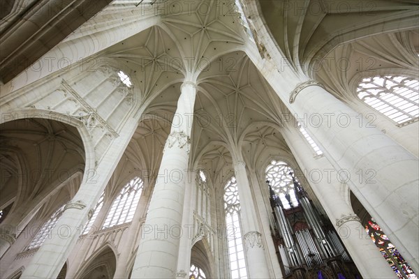 Basilica Basilique Saint-Nicolas-de-Port, Departement Meurthe-et-Moselle, Lorraine, Grand Est region, France, Europe