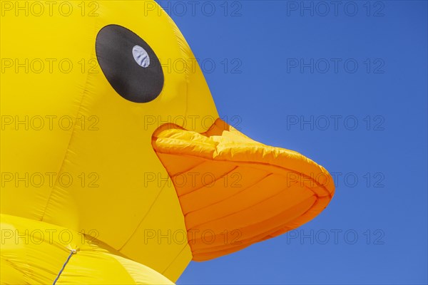 Yellow duck, decoration, figure at the Bremen Easter Fair, Buergerweide, Bremen, Germany, Europe