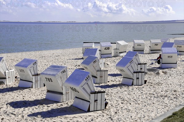 On the beach, Hoernum, Sylt, North Frisian Island, Schleswig Holstein, beach chairs on sand with a view of the calm sea under a clear sky, Sylt, Schleswig-Holstein, Germany, Europe