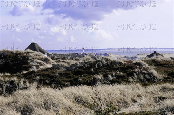 Houses, Hoernum, Sylt, North Frisian Island, view over dunes with grasses to a distant lighthouse under a cloudy sky, Sylt, North Frisian Island, Schleswig Holstein, Germany, Europe