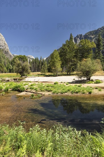 Merced River in the Yosemite Valley, Yosemite National Park, California, United States, USA, Yosemite National Park, California, USA, North America