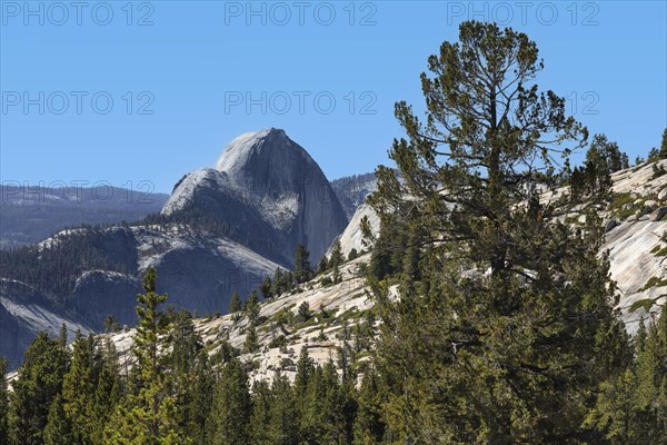 View from Olmsted Point to Half Dome, Yosemite National Park, California, United States, USA, Yosemite National Park, California, USA, North America