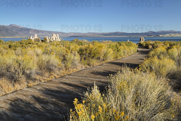 Mono Lake, Mono Lake Tufa State Reserve, California, USA, Mono Lake Tufa State Reserve, California, USA, North America