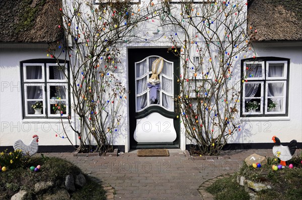House entrance, Keitum, Sylt, North Frisian Island, Easter decoration with colourful eggs on bushes in front of a thatched roof house, Sylt, North Frisian Island, Schleswig Holstein, Germany, Europe