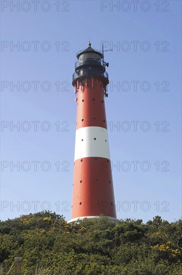 Lighthouse, red and white striped, Hoernum, North Sea island Sylt, A red and white striped lighthouse surrounded by green trees, Sylt, North Frisian island, Schleswig-Holstein, Germany, Europe