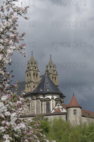 View of the Comburg, fruit blossom, fruit tree, spring, April, Way of St James, Benedictine monastery, monastery, Benedictine order, castle, Schwaebisch Hall, Kocher valley, Kocher, Hohenlohe, Heilbronn-Franken, Baden-Wuerttemberg, Germany, Europe