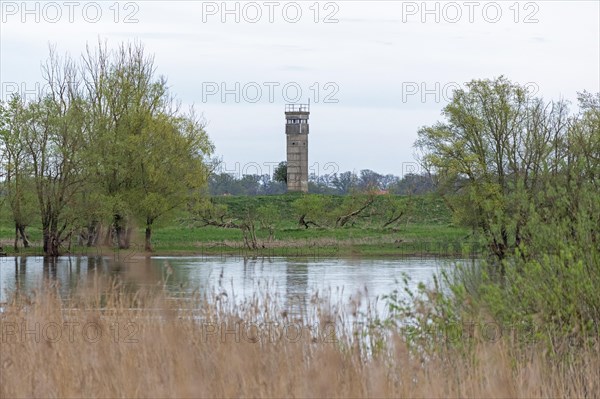 Former watchtower of the GDR, watchtower, trees, reeds, water, Elbe, Elbtalaue near Bleckede, Lower Saxony, Germany, Europe