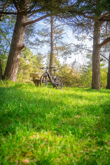 A bicycle stands in the park between spring-like green grass, spring, E- Bike Waldbike, Gechingen, Black Forest, Germany, Europe