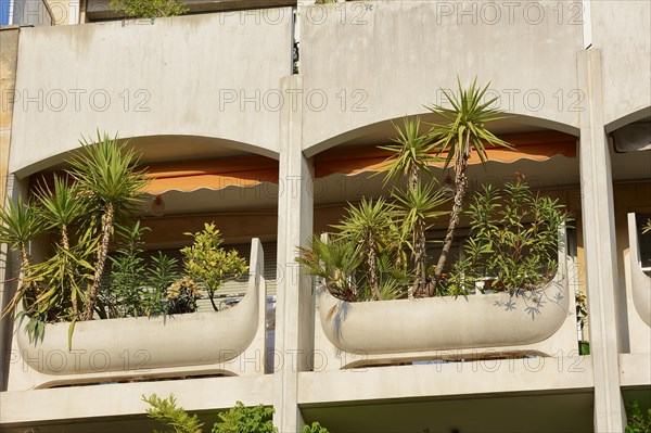 House facade with green balconies, Avignon, Vaucluse, Provence-Alpes-Cote d'Azur, South of France, France, Europe