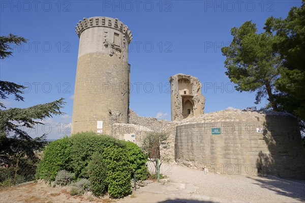 Castle, Chateaurenard, Bouches-du-Rhone, Provence-Alpes-Cote d'Azur, South of France, France, Europe