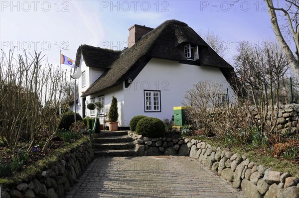 Sylt, North Frisian Island, Schleswig Holstein, White thatched house with a stone path surrounded by bushes and a hoisted flag, Sylt, North Frisian Island, Schleswig Holstein, Germany, Europe