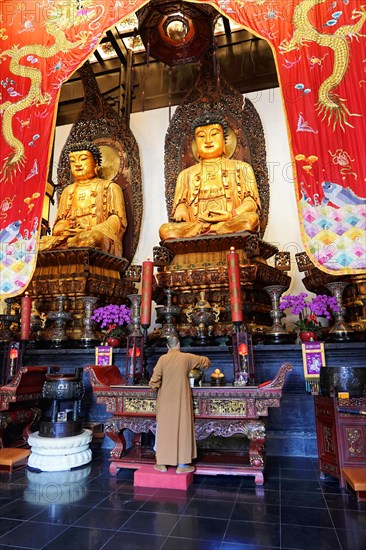 Jade Buddha Temple, Buddha, Puxi, Shanghai, Shanghai Shi, China, Person in religious clothing praying in a colourful Buddhist temple, Shanghai, People's Republic of China, Asia