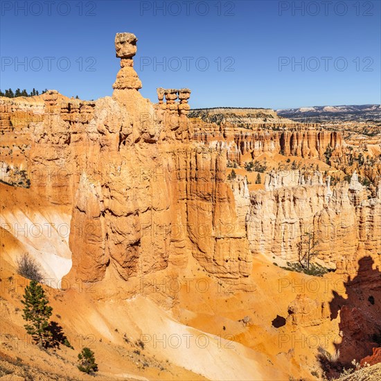 Thor's Hammer, Bryce Canyon National Park, Utah, USA, Bryce Canyon, Utah, USA, North America