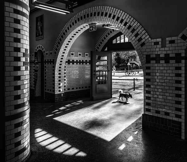 Black and white photograph, Nikolassee S-Bahn station, interior shot, Berlin-Zehlendorf, Berlin, Germany, Europe