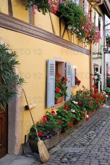 Eguisheim, Alsace, France, Europe, A window with closed shutters and a row of red flowers in front of it, Europe