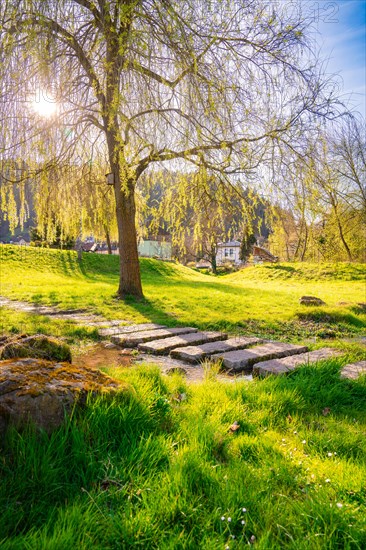 A sunny spring day in the park with green meadows and a path, Spring, Calw, Black Forest, Germany, Europe