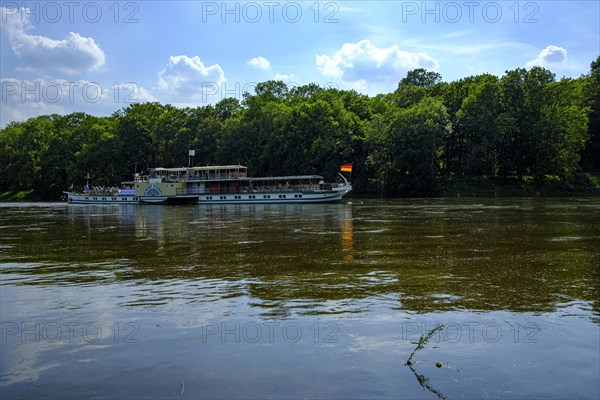 The historic paddle steamer KURORT RATHEN travelling backwards on the Elbe at the steamboat landing stage in Pillnitz, Dresden, Saxony, Germany, Europe