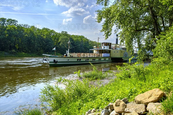 The historic paddle steamer KURORT RATHEN has docked at the steamer landing stage in Pillnitz, Dresden, Saxony, Germany, Europe